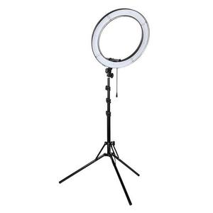 Ringlicht LX240 KIT 190 CM